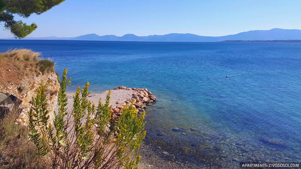 Zivogosce beach