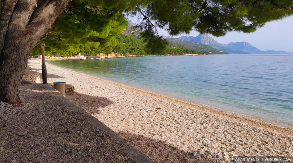 Živogošće Blato plaža Dole