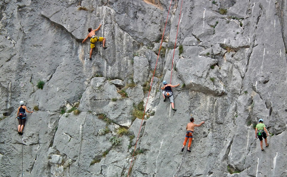 omiš